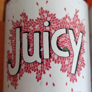 JUICY - Vinyes Tortuga - dido-jurriaan-4d