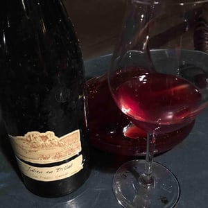 Julien en Billat - L'enfant Terrible du Sud - Domaine Ganevat - anne-jean-francois-ganevat