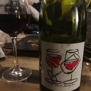 Domaine David-Beaupère - Louis-Clément David-Beaupère - Juliénas Les Trois Verres
