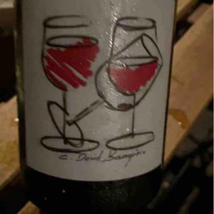 Juliénas Les Trois Verres - Domaine David-Beaupère - Louis-Clément David-Beaupère 