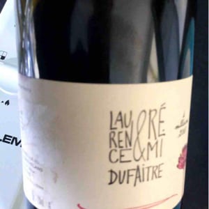 Julienas - Domaine de Botheland - remi-dufaitre-laurence-liatard