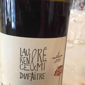 Domaine de Botheland - Rémi Dufaitre & Laurence Liatard - Julienas