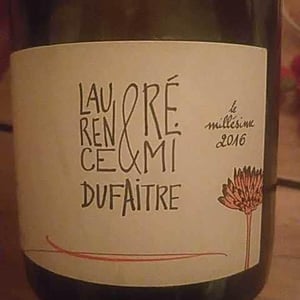 Julienas - Domaine de Botheland - Rémi Dufaitre & Laurence Liatard 