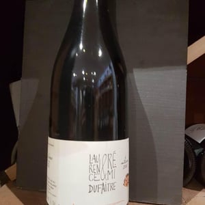 Julienas - Domaine de Botheland - remi-dufaitre-laurence-liatard
