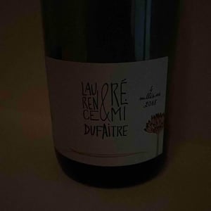 Julienas - Domaine de Botheland - Rémi Dufaitre & Laurence Liatard 