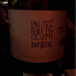 Julienas - Domaine de Botheland - remi-dufaitre-laurence-liatard