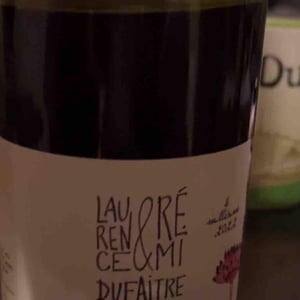 Julienas - Domaine de Botheland - remi-dufaitre-laurence-liatard