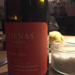 Juliénas...100% - Les Bertrand - Guy, Annick & Yann Bertrand 