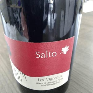 Salto 2018