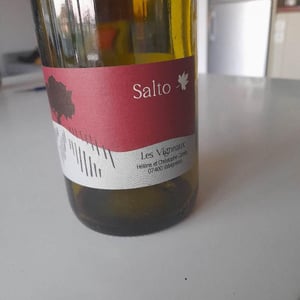 Salto - Les Vigneaux - Hélène & Christophe Comte 