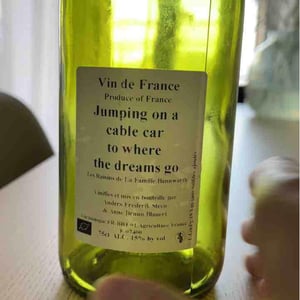 Jumping on a cable car to where the dreams go (X Laurent Bannwarth) - Anders Frederik Steen & Anne Bruun Blauert - anders-frederik-steen-anne-bruun-blauert