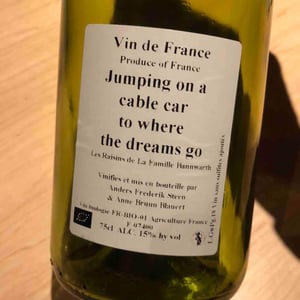 Jumping on a cable car to where the dreams go (X Laurent Bannwarth) - Anders Frederik Steen & Anne Bruun Blauert - Anders Frederik Steen & Anne Bruun Blauert 