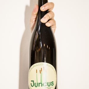 Juncus - Vinos Naturi - raul-calle-y-laura-pinas -2021