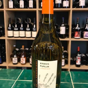 Jurassique - Domaine de la Renardière - jean-michel-laurence-et-leo-petit