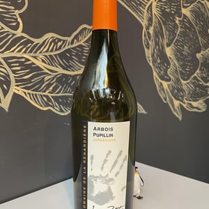 Jurassique - Domaine de la Renardière - jean-michel-laurence-et-leo-petit