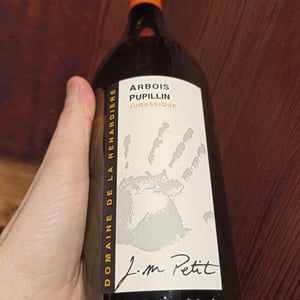 Jurassique - Domaine de la Renardière - jean-michel-laurence-et-leo-petit