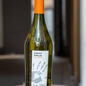 Jurassique - Domaine de la Renardière - jean-michel-laurence-et-leo-petit