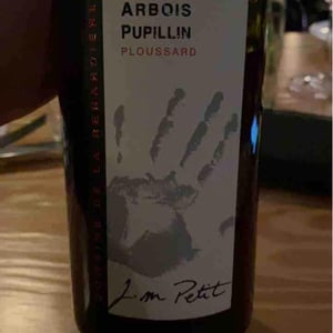 Jurassique - Domaine de la Renardière - jean-michel-laurence-et-leo-petit