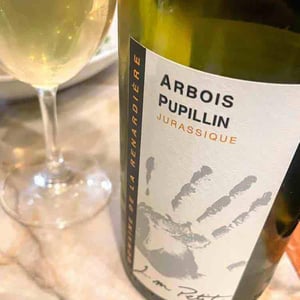 Jurassique - Domaine de la Renardière - jean-michel-laurence-et-leo-petit