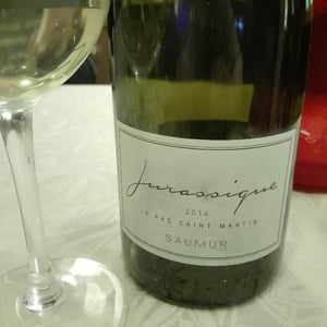 Jurassique - Le Pas Saint Martin - laurent-charrier