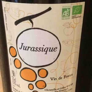 Jurassique - Gilles Wicky - christelle-gilles-wicky