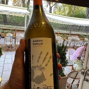 Jurassique - Domaine de la Renardière - jean-michel-laurence-et-leo-petit