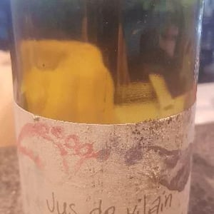 Jus de Vilain - Francine & François Dhumes - francine-francois-dhumes