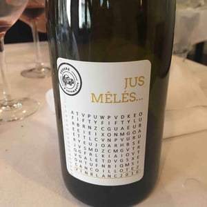 Jus Mêlés... - La Combe aux Rêves - Gregoire Perron & Judicaëlle Cevasco 