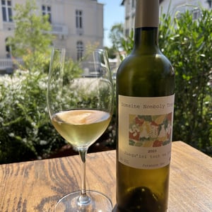Jusqu’ici tout va bien - Domaine Nomboly Traydou - Domaine Nomboly Traydou 