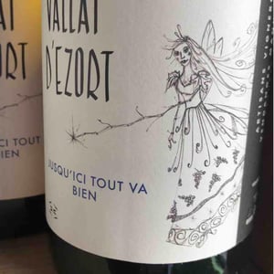 Jusqu’ici Tout Va Bien - Vallat d'Ezort - Manuela & Frédéric Martin -2020