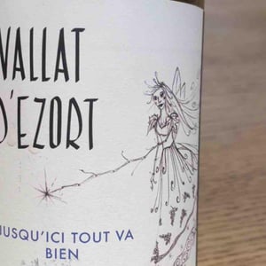 Jusqu’ici Tout Va Bien - Vallat d'Ezort - Manuela & Frédéric Martin -2020
