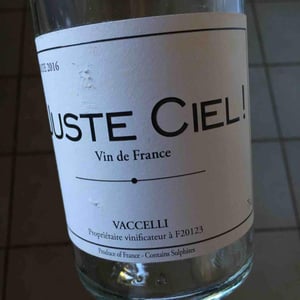 Juste Ciel! - La Petite Baigneuse - philippe-wies