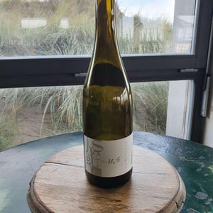 Juste le Blanc - Château Saint Salvadou - etienne-fort-monsieur-s -2021