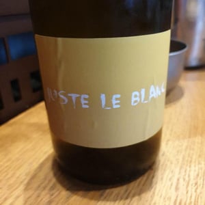 Juste le Blanc - Domaine Du Bois Rond - Mélanie Dedron Et Igor Denat