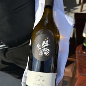 JZ VELUE - Bioweingut Johannes Zillinger - johannes-zillinger -2021