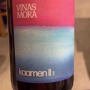 Vinas Mora - Niko Dukan & Kreso Petrekovic - Kaamen II