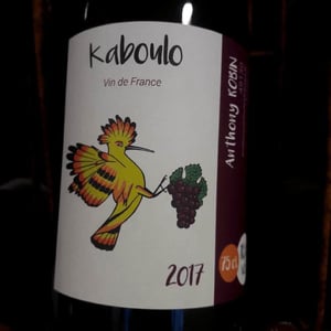 Domaine du Clos Fremur - Anthony Robin - Kaboulo