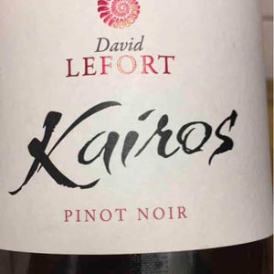 Kairos - David Lefort - David Lefort 