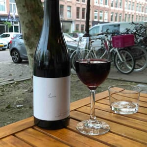 Kalkundkiesel red - Weingut Claus Preisinger - Claus Preisinger 