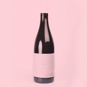 Kalkundkiesel red - Weingut Claus Preisinger - claus-preisinger