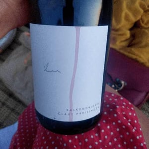 Kalkundkiesel red - Weingut Claus Preisinger - Claus Preisinger 