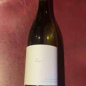 Kalkundkiesel Weiss - Weingut Claus Preisinger - Claus Preisinger 