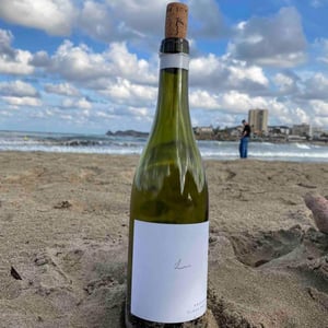 Kalkundkiesel Weiss 2021 - Weingut Claus Preisinger - Claus Preisinger