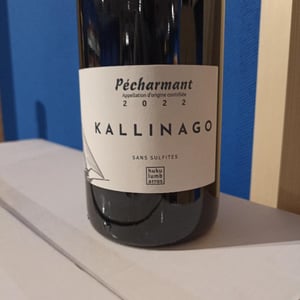 KALLINAGO - Hukulumbarros - mickael-gaulhiac -2020