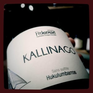KALLINAGO - Hukulumbarros - mickael-gaulhiac -2020