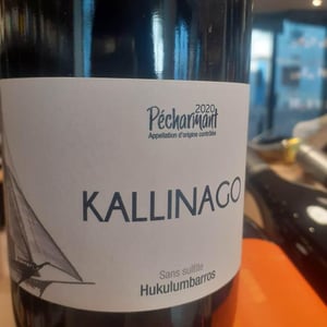 KALLINAGO - Hukulumbarros - mickael-gaulhiac -2020