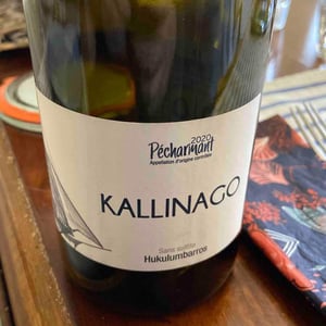 KALLINAGO - Hukulumbarros - mickael-gaulhiac -2020