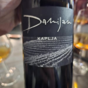 Kaplja - Damijan Podversic - Damijan Podversic 