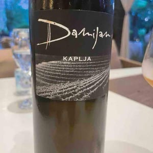 Kaplja - Damijan Podversic - damijan-podversic