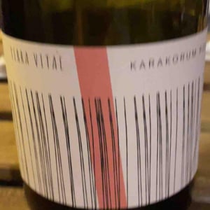 KARAKORUM - Terra Vitae - Elena Breghi e Matteo Pelanda 